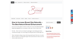 Desktop Screenshot of increasemybreast.com